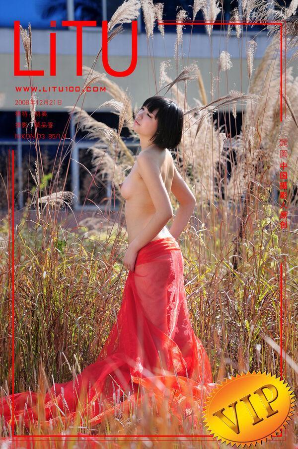 丽图100 明美